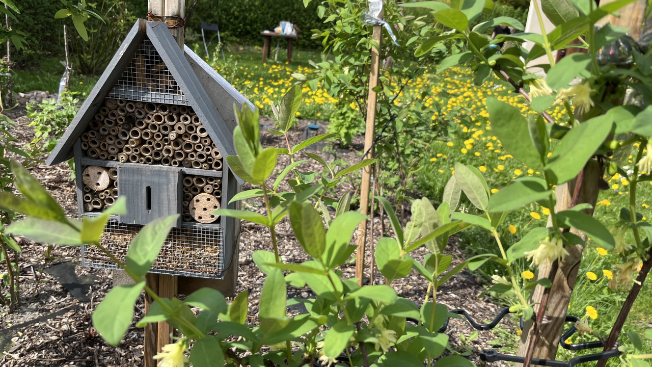 Naturschutz im Garten